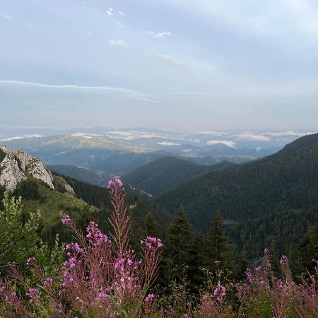 Lux Apartman A18 & Spa Centar Kopaonik Zewnętrze zdjęcie