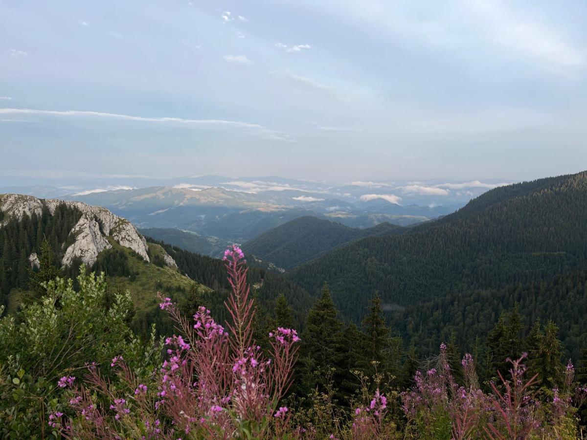 Lux Apartman A18 & Spa Centar Kopaonik Zewnętrze zdjęcie